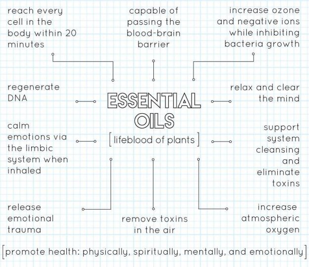12208434_10102790777356976_2008802683988324455_n-2